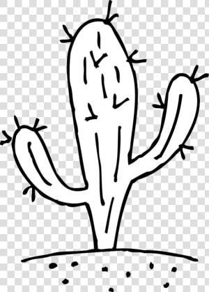 Cactus Clipart Outline Free   Clip Art Cactus Black And White  HD Png Download