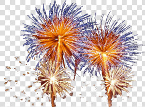 Fireworks Animation Diwali Clip Art   Fireworks Gif No Background  HD Png Download