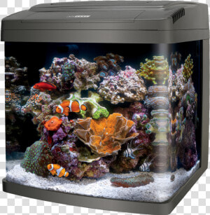 Coralife Biocube 29 Class Lazyload Lazyload Mirage  HD Png Download