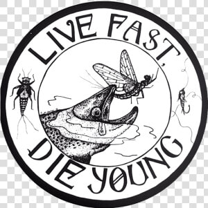 Amy Mcmahon Live Fast Die Young Sticker   Cartoon  HD Png Download