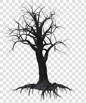 Free Tree Png Black And White Broken Tree   Tree  Transparent Png