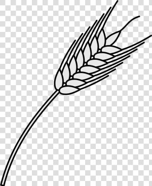 File Coa Illustration Elements Plant Svg Wikimedia   Heraldic Wheat Png  Transparent Png