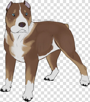 American Staffordshire Terrier American Pit Bull Terrier   Perro Pitbull Dibujo Png  Transparent Png