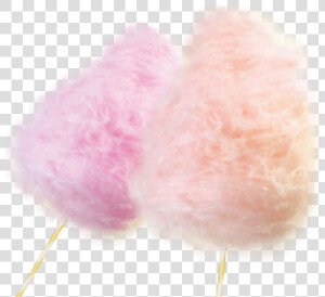 Cotton Candy Download Png Image   Still Life Photography  Transparent Png