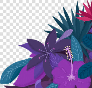 Plantas Png  Transparent Png