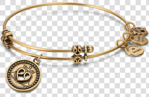 Bangle Bracelets Soufeel Claddagh Charm Bangle   Png   Bracelet  Transparent Png