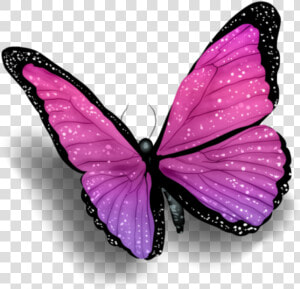  schmetterling  butterfly  rosa  purple  lila  pink   Butterfly With Shadow Png  Transparent Png