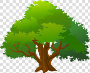 Mango Tree Clip Art   Png Download   Mango Tree Clipart Png  Transparent Png