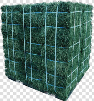 Alfalfa Hay 18 Bale Pallet   Net  HD Png Download