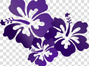 Flowers Vectors Clipart Purple   Purple Hibiscus Clip Art  HD Png Download