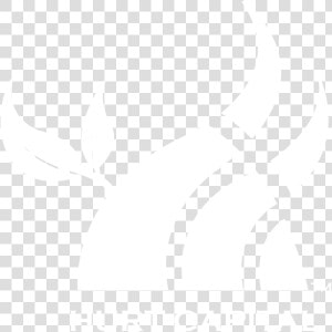 White Image Not Visible On White Background    Cabesto  HD Png Download