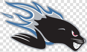 Saint John Sea Dogs Logo   St John Sea Dogs  HD Png Download