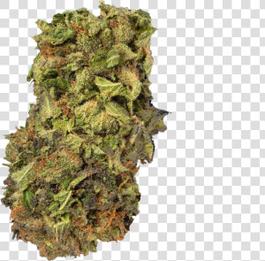 Kush Medical Cannabis Cannabis Sativa Project Mkultra   Kush Png  Transparent Png