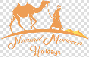 Nomad Morocco Holidays   Nomad Travel Logo Png  Transparent Png