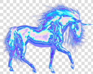 Stallion  HD Png Download