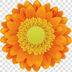 Sunflower Pictures Free Download Sunflower Png  Sunflower   Orange Flower Clip Art  Transparent Png