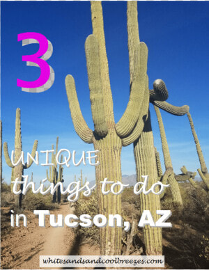 A Saguaro Cactus With Text Overlay 3 Unique Things  HD Png Download