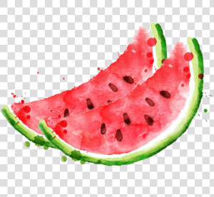 Royalty Free Stock Photography Clip Art Royaltyfree   Watermelon Watercolor Png  Transparent Png