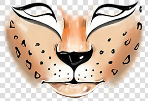 Transparent Facepaint Png   Tiger Face Paint Png  Png Download