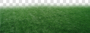 Pasto Y Estadios Png Para Walls   Lawn  Transparent Png