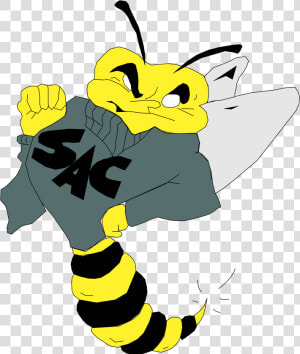 Sacramento State Hornets Logo Png Transparent   Sac State Hornet Logo  Png Download