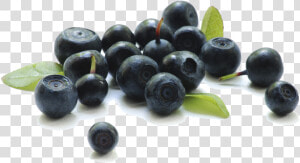 Blueberry Transparent Background   Acai Berries  HD Png Download