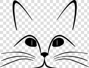 Cat  Ears  Eyes  Face  Feline  Gaze  Nose  Whiskers   Whiskers Coloring Pages  HD Png Download