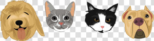 The Village Pets Atlanta Pet Sitting   Pets Png  Transparent Png