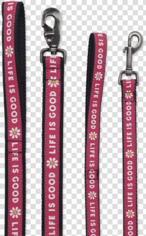 Life Is Good Nylon Daisy Dog Leash  HD Png Download