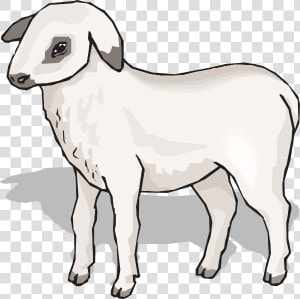 Lamb Svg Clip Arts   Animal Imagenes Con Sombra  HD Png Download