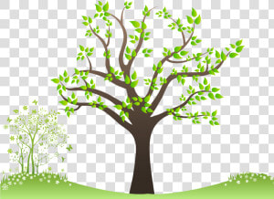 Family Tree Png Free Download   Family Tree Images Png  Transparent Png