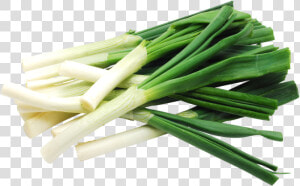 Celery   Leek Transparent  HD Png Download