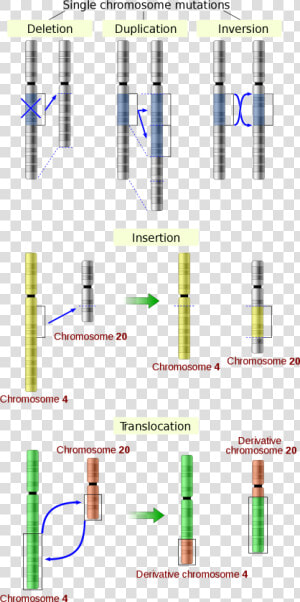 Mutation Structure  HD Png Download