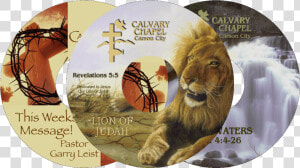 Calvary Chapel Cds   Masai Lion  HD Png Download