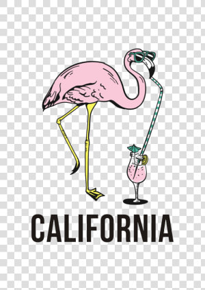 Transparent Flamingo Vector Png   Flamingo With A Drink Clip Art  Png Download