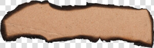 Burnt Paper Png  Transparent Png