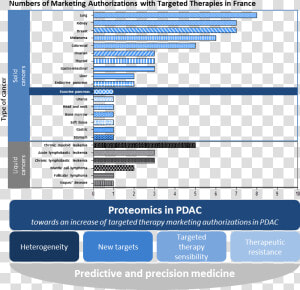 Targeted Therapy For Pancreatic Cancer  HD Png Download