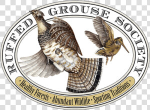 Ruffed Grouse Society  HD Png Download