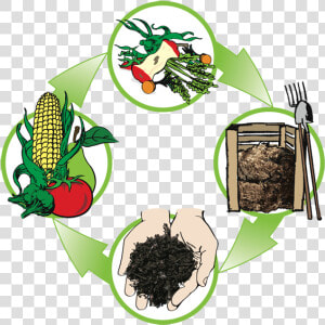 Compost Cycle  HD Png Download