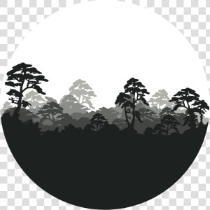 Forest Png   Circular Logo   Greenpeace Stand For Forests Logo  Transparent Png