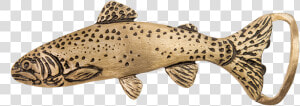 Rainbow Trout Buckle   Brown Trout  HD Png Download