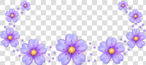  kawaii  pastelcolors  purple  lilac  aesthetic  tumblr   Pansy  HD Png Download