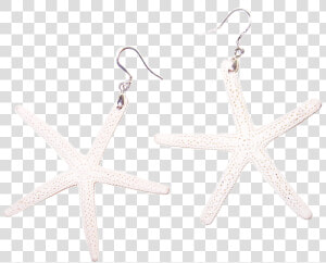 White Sugar Starfish Earrings   Earrings  HD Png Download