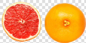 Fresh Grapefruit Juice Png   Red Orange Slice Png  Transparent Png