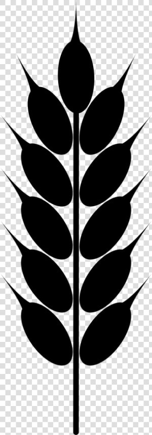 Clip Art Wheat   Wheat Png Black And White  Transparent Png