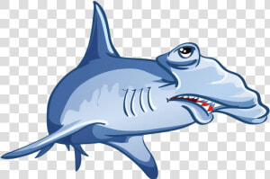 Shark Jaws Drawing   Shark Drawing Cartoon  HD Png Download