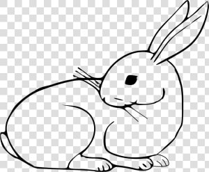 Rabbits Drawing Easter Bunny Transparent Png Clipart   Bunny Clipart Black And White Transparent  Png Download