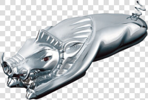 Boar To Be Wild Fender Pig Trim Kury   Motorcycle Fender Ornament  HD Png Download