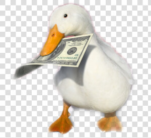  aflac   You Ve Heard Of Elf On The Shelf Now Get Ready For  HD Png Download