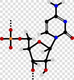 Line nucleotide dna   Nucleotide Clipart  HD Png Download